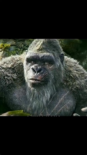 King Kong y su dolor de muela: Reseña de película