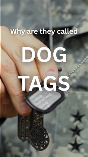 Why are they called dog tags?