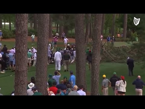 Terrifying moment when tree fall nearly crushes crowd at Masters Tournament in Augusta, Georgia