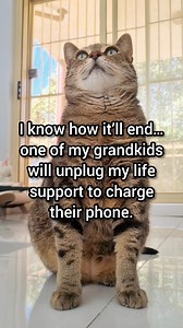 120K views · 2.7K reactions | Life support vs. a grandkid's dying phone… I know which one they'll pick  | Winter Cat | Facebook
