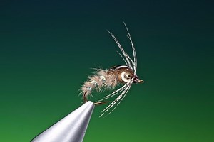 Holy Grail Caddis/sedge pupa