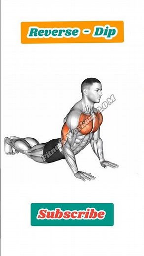 Reverse Dip Exercise at home for Chest & Triceps. #workout