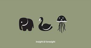 Elephants, Swans and Jellyfish for planning. — insight & foresight