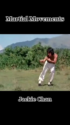 Best Martial Movements: Jackie Chan, Drunken Master
