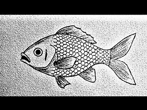 How to Draw a Fish | Easy Pencil Sketch for Beginners