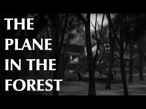 The Plane in the Forest