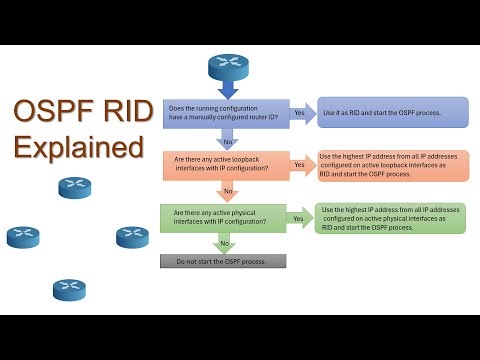 OSPF Router-ID (RID) Explained with Examples