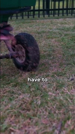 Bermuda vs Fescue: Which is better?