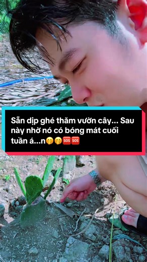 Sẵn dịp ghé thăm vườn cây... Sau này nhờ nó có bóng mát cuối tuần á...n🤭🤭🆘🆘#ansogood #phungvanan