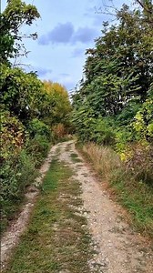 Can you see yourself walking this path & observing nature? #nature