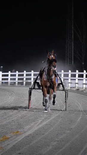 Arnie Silvio segrar tillsammans med Wilma Karlsson i Lärlingsloppet. Tränar gör Johan Untersteiner och äger gör Stall Silvio 🎉 | Sundbyholmstravet