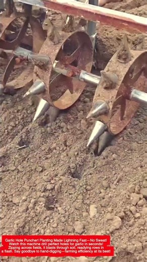 Garlic Hole Puncher! Planting Made Lightning Fast—No Sweat!#shorts
