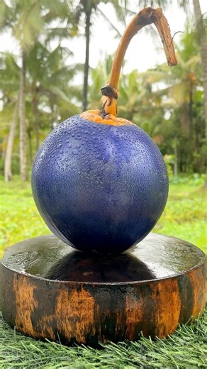 Honestly! have you ever drunk this coconut water? #shorts