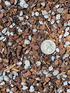 Dendrobium (den) Orchid Potting Mix - Hand Mixed Semi-hydroponic Soil for Orchids, Premium Chunky Substrate for Indoor Plants - Etsy