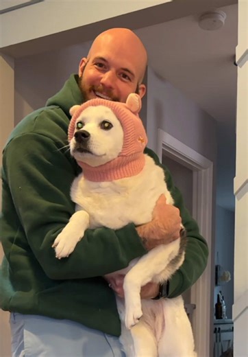 How cute is this dog ear muff hat! Trixie HATES fireworks and this helps so much! Plus… it’s so adorable! #dogearmuffs #doganxiety #doganxietytips