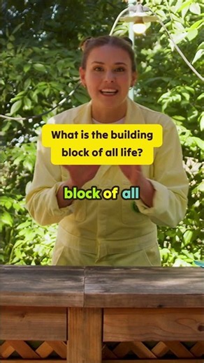 What Is Carbon? 🌎 The Secret Building Block of Life! | Suzie & Sprout