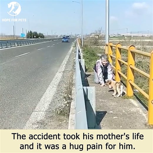 Puppy was so scared that he kept facing the wall. | Hope For Pets