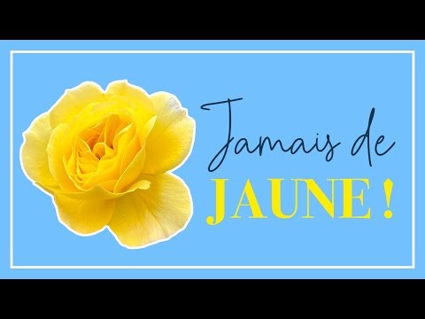 Yellow in the garden: unloved or essential?