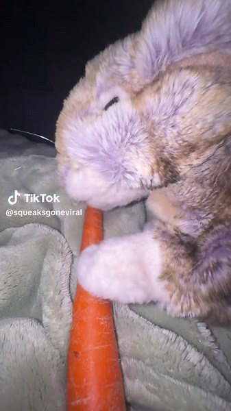 Squeak (@squeaksgoneviral)’s videos with original sound - ᴀʀᴋʜᴀᴍ.