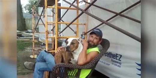 Toledo tree trimmer paralyzed after a dead limb crushes him in freak accident