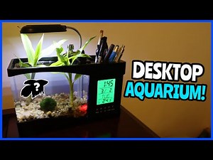 Mini USB Desktop Aquarium Setup!