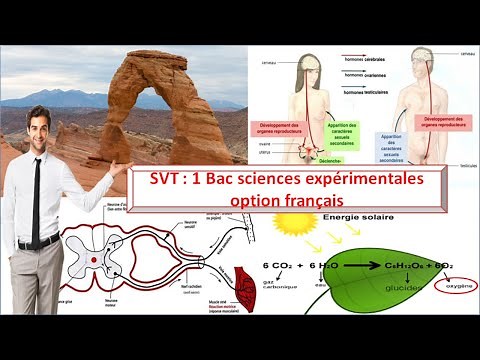 Life and Earth Sciences (SVT) 1 Baccalaureate, Experimental Sciences Option, French Introduction