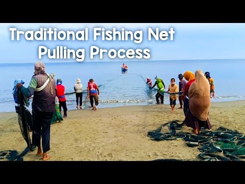 🐟 Amazing! This is How Traditional Fishing Nets Are Pulled in on Indonesian Beaches