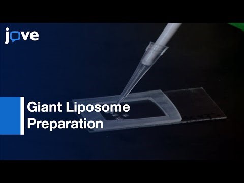 Giant Liposome Preparation For Imaging & Patch-Clamp Electrophysiology l Protocol Preview