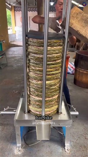 This Is How Real Olive Oil Is Actually Made