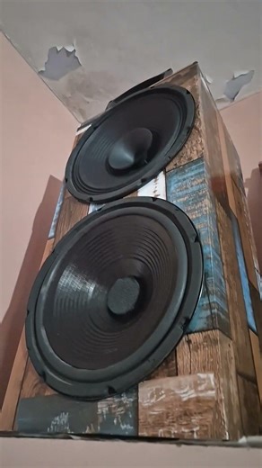 12inch bass test #speaker #bassamplifier