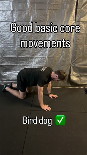Good basic core movements These movements challenge core control rather than just endurance Meaning they challenge your ability to stabilise whilst you move, you know, like life These particular movements also challenge coordination, your perception of a neutral spine for the whole movement (rather than just endurance and letting your hips sag because you’re going for time) They help build posture and you learn to brace while moving. Essentially they’re movements to help you move in the real wor