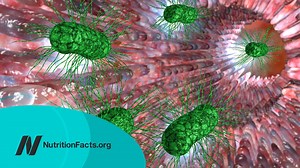 5.5K views · 165 reactions | Even if we could accurately diagnose SIBO, if there is no difference in symptoms between those testing positive and those testing negative, then what’s the point? The video sources, transcript, and doctor's notes are available here: https://bit.ly/3e30kv5 | NutritionFacts.org | Facebook