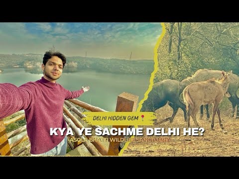 KYA YE SACHME DELHI HE? | Asola Bhatti Wildlife sanctuary