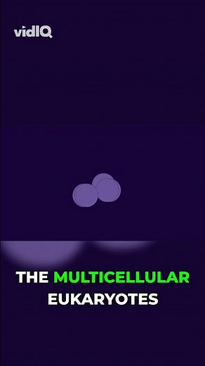 How Eukaryotes Built Every Complex Life Form #evolution #biology #science