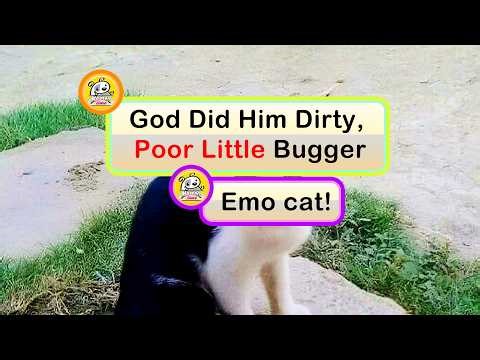 Hair Fails So Bad They’re Actually Funny