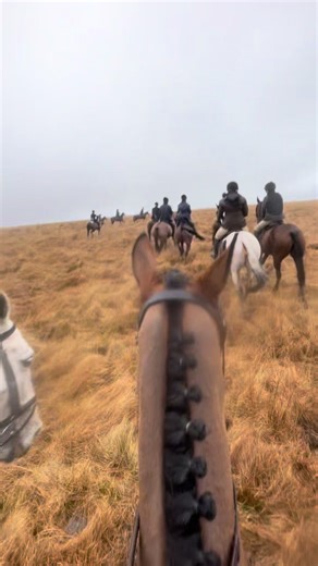 1ucy-m01l🐎🌾🐄 (@lucymolls)’s videos with Kickstarts - Example