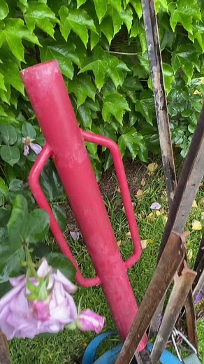 Trying to save a 200yr old mulberry tree from falling over from the saturated soil