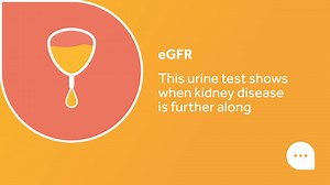 16K views · 49 reactions | #Kidneys play a vital role as the body’s...