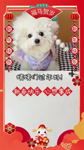 Delightful New Year Eve Dinner for Dogs