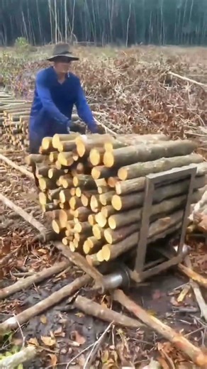 Incredible MODIFIED Engine! The Ultimate Power for Forest Transport 🪵