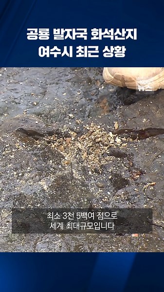 여수를 비롯한 남해안 일대에 많이 남아있는 공룡 발자국 화석이 파도나 바람에 의해 서서히 훼손되고 있습니다. 이에 따라 그 원형을 기록하기 위한 작업이 시작됐습니다. #여수시 #공룡 #화석 #공룡발자국 #KBS #KBSNEWS