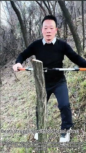 Trimming trees with loppers: satisfying cuts! ✂️🌳