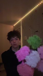 @maddie #ilovemygf #pipecleanerflowers #diy #fyp #birthday | flowers