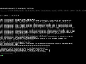 Cisco IOS EEM Enable interface and set speed and duplex at router start