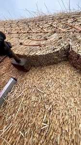 1K views · 110 reactions | My favourite ridge design #thethatchingguy #alright #thatch #design #reels #instagood #roof #roofing ️ @thethatchingguy | Archi Benes | Facebook