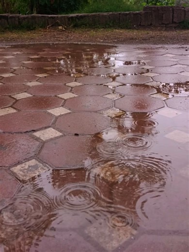 Discovering the Beauty of Rainy Islamabad, Pakistan