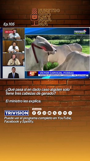 News Coverage on Cattle Farming and Agriculture Trends