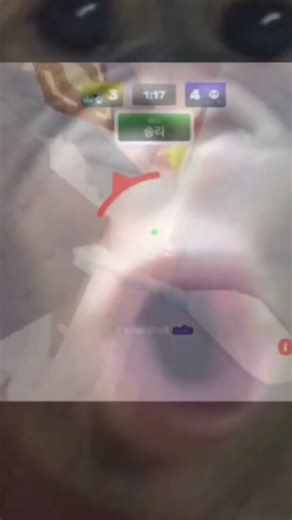 저는 비매너유저를 정말 싫어하는데요