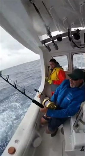 𝐓𝐡𝐞 𝐋𝐢𝐧𝐞 𝐒𝐧𝐚𝐩𝐬… 𝐀𝐧𝐝 𝐄𝐯𝐞𝐫𝐲𝐨𝐧𝐞 𝐅𝐫𝐞𝐞𝐳𝐞𝐬 😱🎣