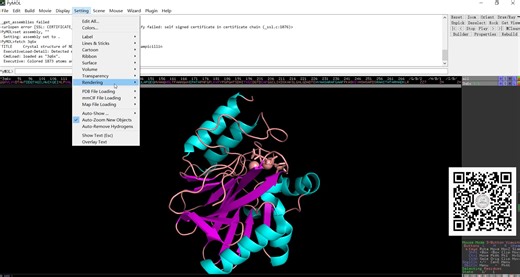 使用pymol绘制蛋白质与小分子的相互作用图